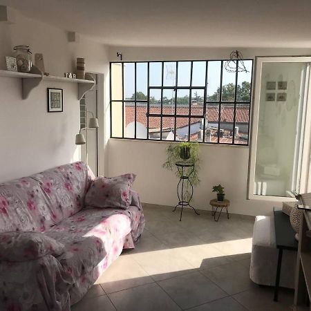 B&B Rooftop51 Римини Экстерьер фото