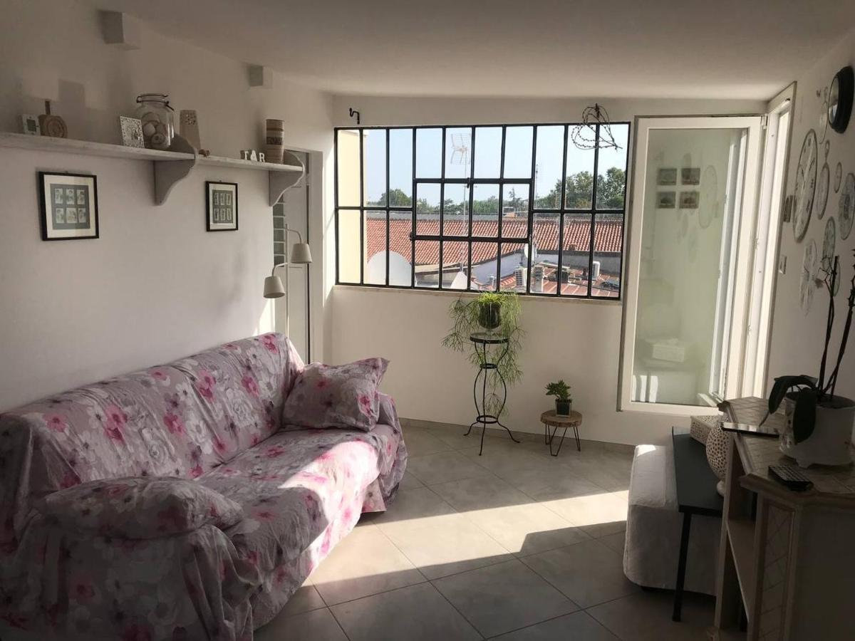 B&B Rooftop51 Римини Экстерьер фото